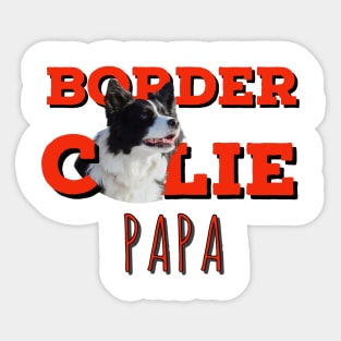 Border collie papa border collie dad love my birdie collie best border collie Sticker